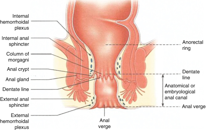 Anorectal Surgery