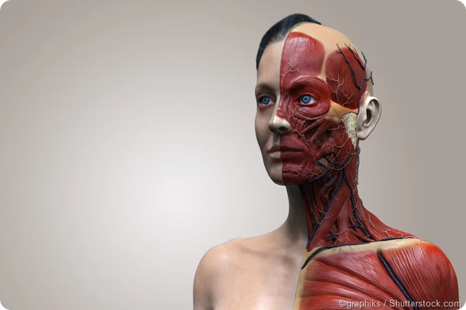 General Surgery